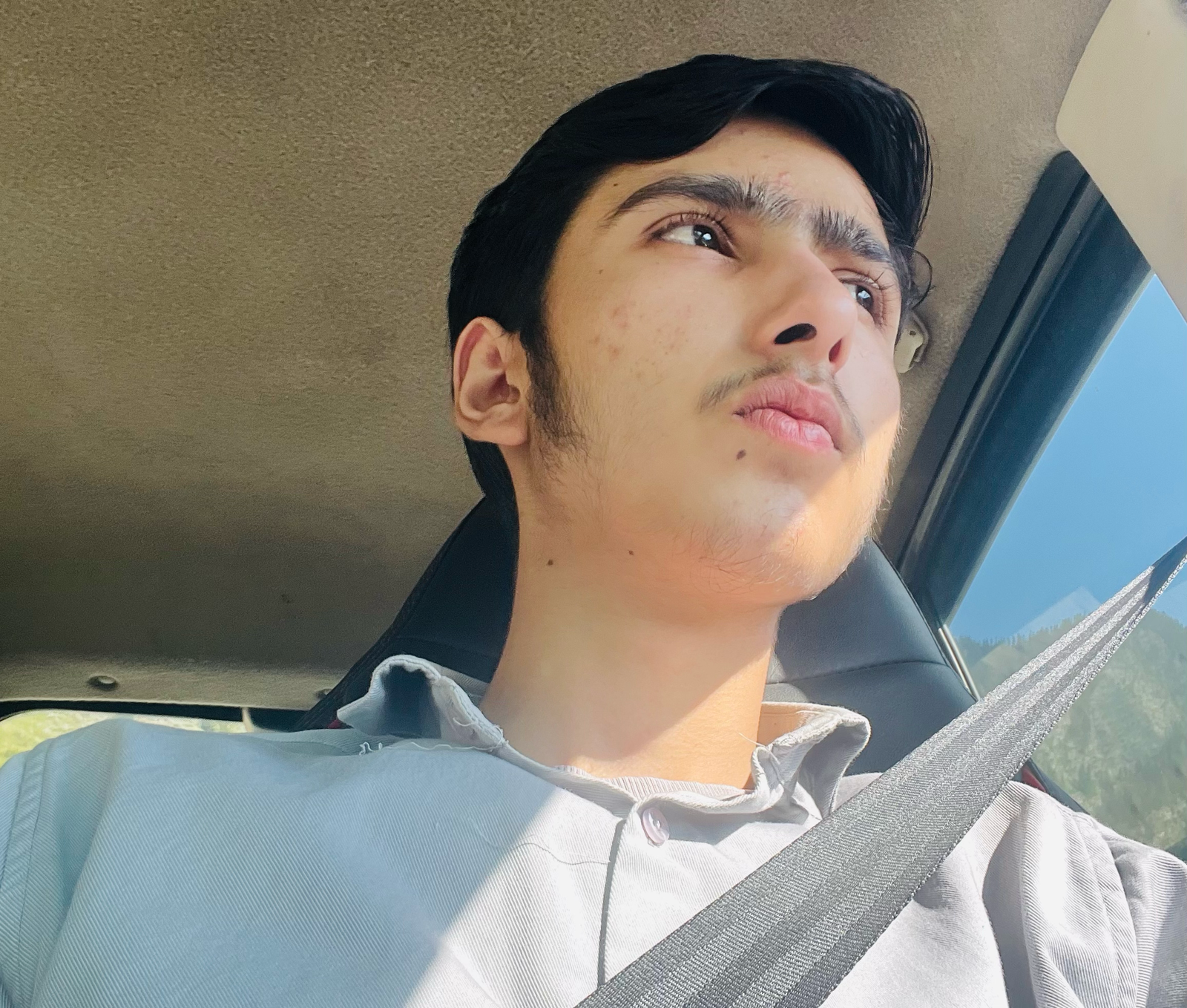 Looking up